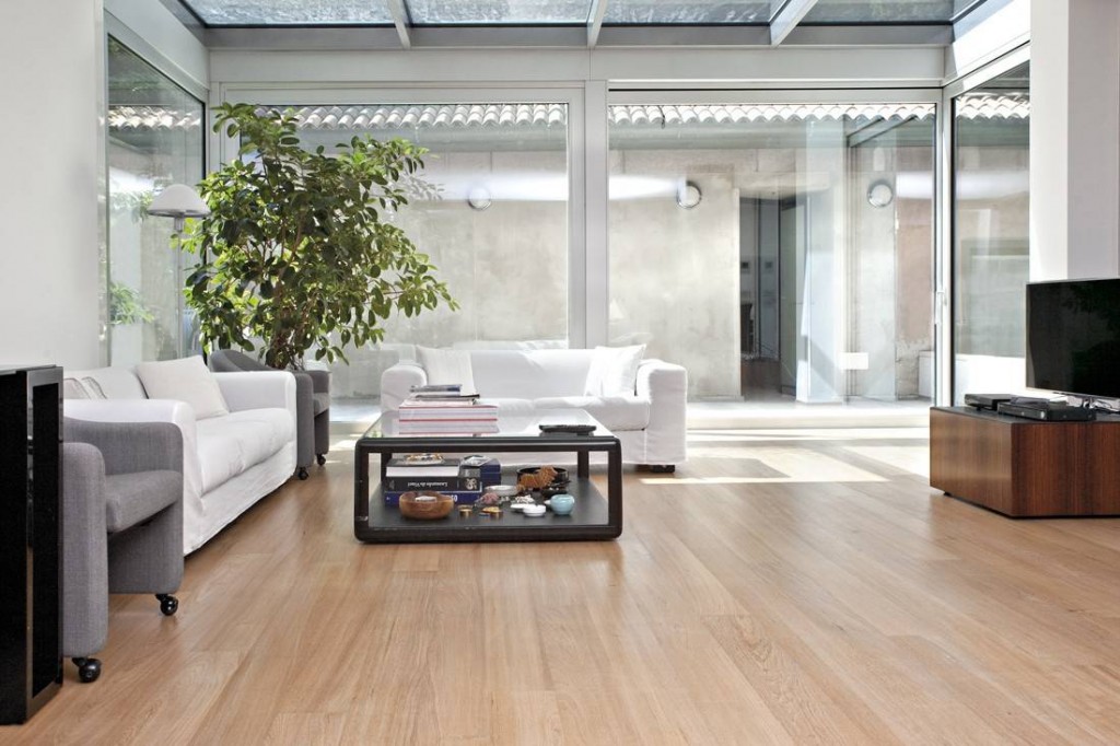 Parquet con animali